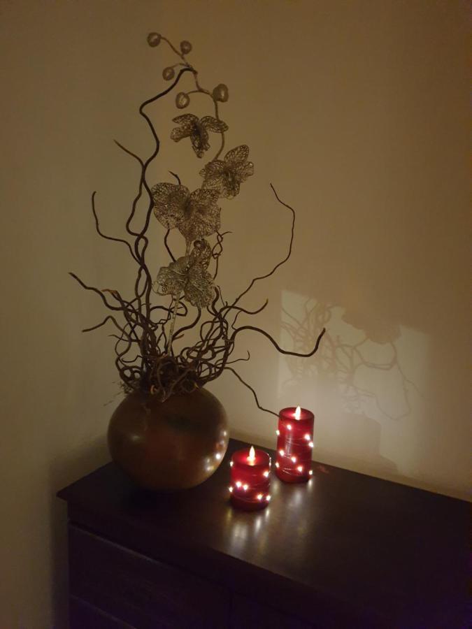 Beautiful Double En-Suite Room, Separate Entrance, Ilford, Central Line Gants Hill, Free Parking 外观 照片